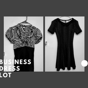 Business dress lot